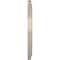 Ekena Millwork Traditional PVC Medallion (Canopies up to 11 1/2"), 19"OD x 3 1/2"ID x 1 1/2"P, Metallic Mist CMP19TREPE - alternate 2